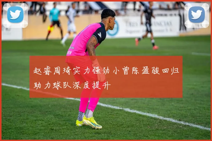 赵睿周琦实力强劲小曾陈盈骏回归助力球队深度提升