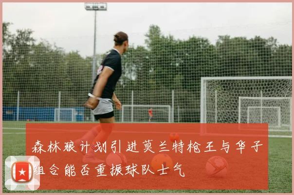 森林狼计划引进莫兰特枪王与华子组合能否重振球队士气