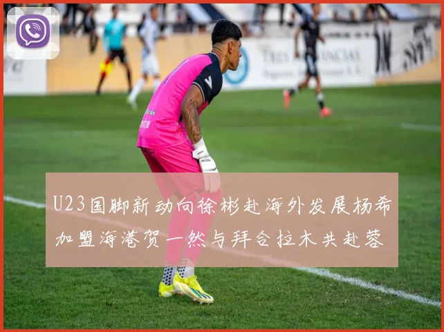 U23国脚新动向徐彬赴海外发展杨希加盟海港贺一然与拜合拉木共赴蓉城